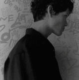 noo5 hyène 02 1.gif