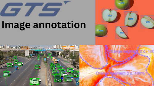 Image annotation (14).png