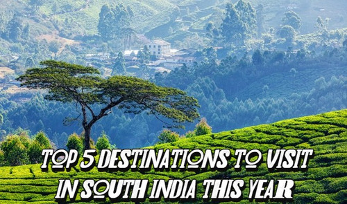 Top 5 Destinations to Visit in South India This Year.jpg