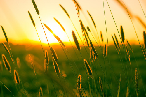summer g9e845d75f 1920.jpg