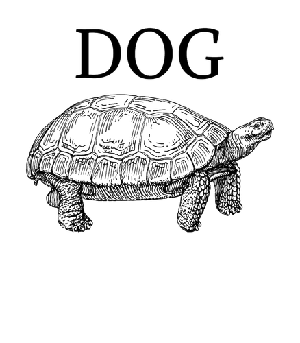 ELDERISG 38553 ds.png