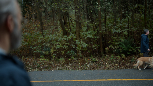 b9a698c70757.png