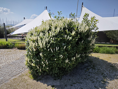 IMG 20230422 113652.jpg