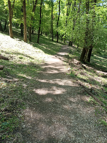 IMG 20230422 120030.jpg