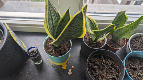 PXL 20230422 100238338.jpg