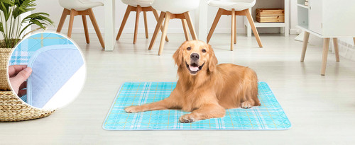 a668bb59 7135 407f a24e abbe533f1933. CR0,0,1464,600 PT0 SX1464 V1 .jpg