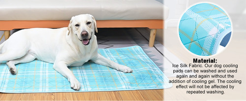 7f218766 bb9e 45cb acfc 9c2beec10f97. CR0,0,1464,600 PT0 SX1464 V1 .jpg