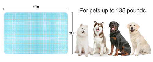 f6aba1f0 25f4 42ea 88df c99021ae0ec0. CR0,0,1464,600 PT0 SX1464 V1 .jpg