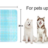 f6aba1f0 25f4 42ea 88df c99021ae0ec0. CR0,0,1464,600 PT0 SX1464 V1 