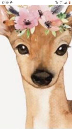 Screenshot 20230422 131013.png