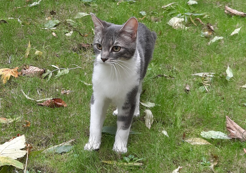 20221011 122530~2.jpg