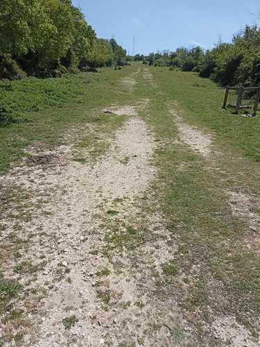 IMG 20230422 121507.jpg