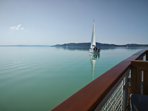 IMG 20230422 104111.jpg