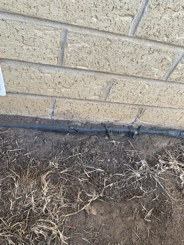 C2CEED17 0440 4D48 BA79 91E61CE9D9C1.jpg