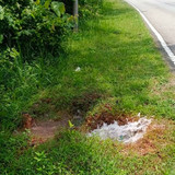 WhatsApp Image 2023 04 23 at 1.24.23 PM(3).jpg