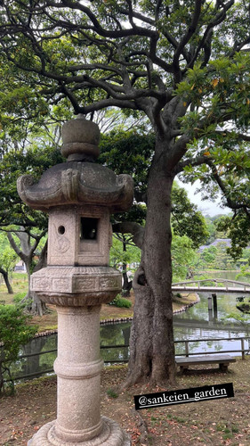 1682229493 1809369489.jpg