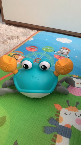 br 11134103 22070 ioyghsvuthfv3d.jpg