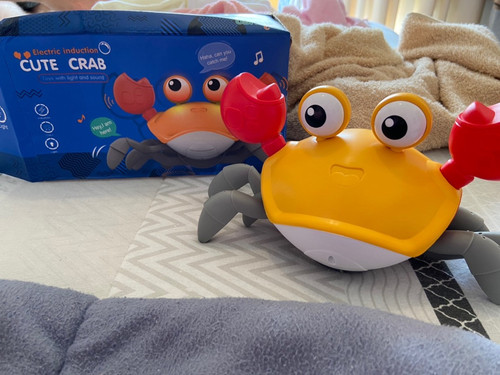 br 11134103 22080 tizbwzxsgufv96.jpg