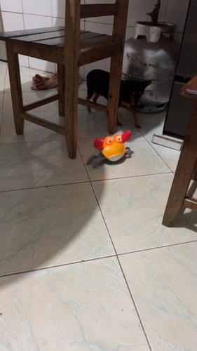 br 11134103 22090 ep5a1f5mzshve6.jpg