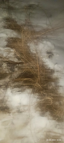 IMG 20230428 220222.jpg