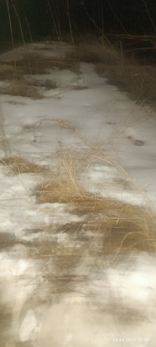 IMG 20230428 220232.jpg