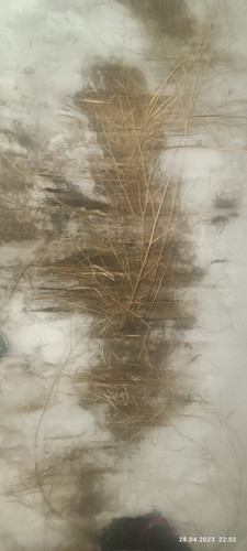 IMG 20230428 220208.jpg