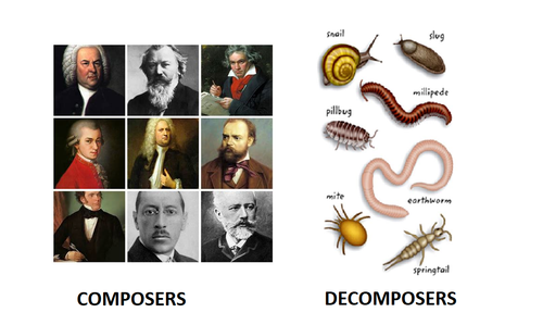 Composers vs Decomposers Meme.png