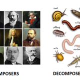 Composers vs Decomposers Meme