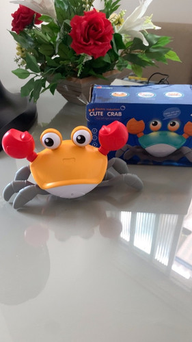 br 11134103 22120 cmz0fs2r5ikvf9.jpg