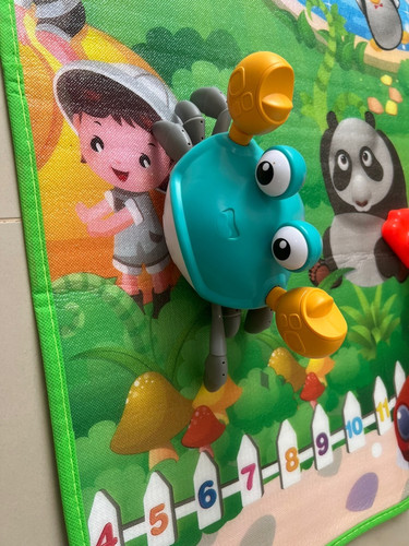 br 11134103 23020 ewe62fplc3mv78.jpg