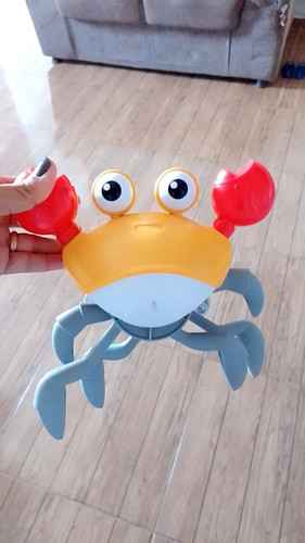 br 11134103 23030 grwivek52oovf5.jpg