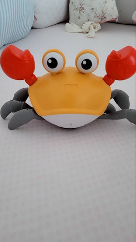 br 11134103 23020 42ints5j72nv79.jpg