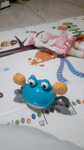 br 11134103 23020 g6es06itb3nva6.jpg