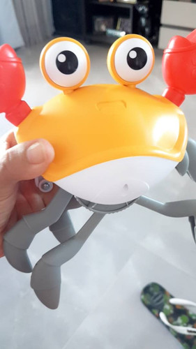 br 11134103 23020 svy6g8465bnv65.jpg