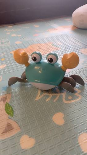 br 11134103 23030 oyqehzhm2eovd1.jpg