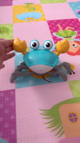 br 11134103 23030 y0f8a2oz19nvf0.jpg