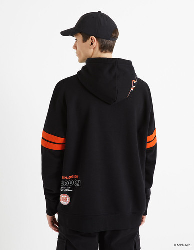 LDEMHASW4 C956 4.jpg