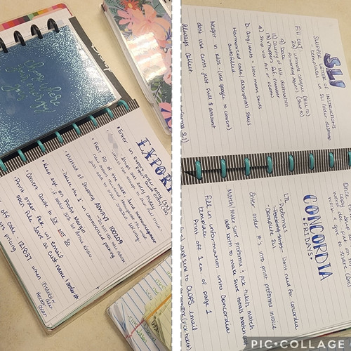 SmartSelect 20230428 122452 PicCollage.jpg