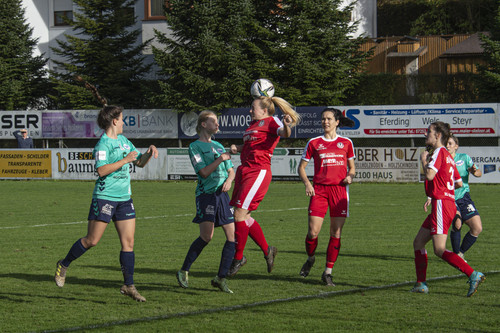 steyr antiesenhofen 3 0 23 10 2022 4