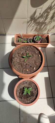 IMG 20230426 134840.jpg