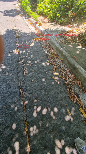 20230426 130244.jpg