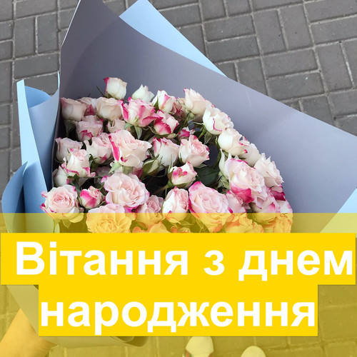 pic.jpg