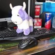 lilakuh tastatur.jpg
