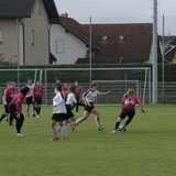sl haid aschach 0 3 23 10 2022 058