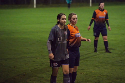 laab perg 1 2 14 10 2022 018.jpg