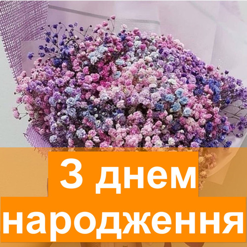 pic.jpg