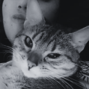 81c8ebb56864b115f375ca470d110a86.png
