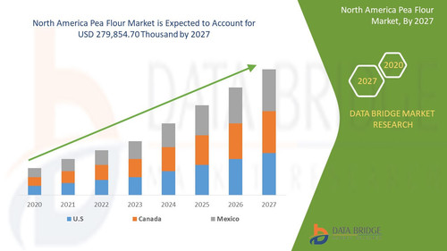 North America Pea Flour Market.jpg