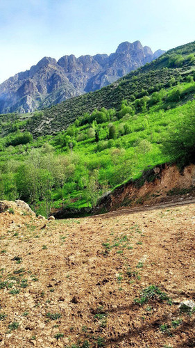 IMG 20230427 232731 105.jpg