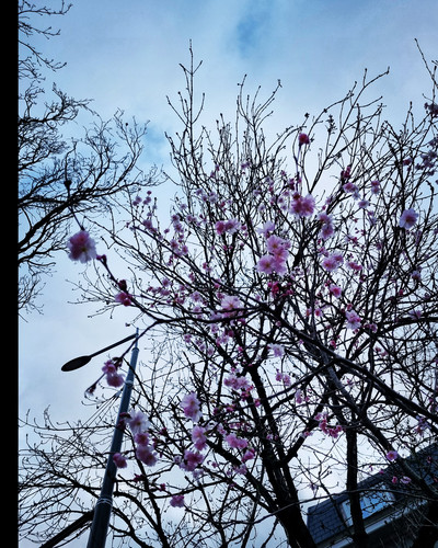 IMG 20230228 191319 644.jpg